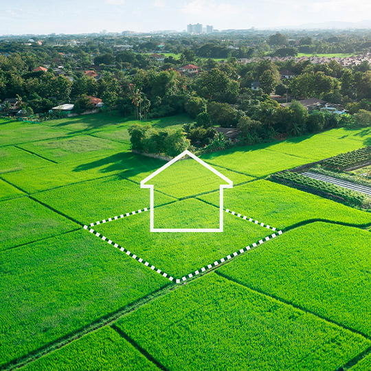 A house set in a vibrant green field, symbolizing the idea of custom home construction in McAllen, TX.